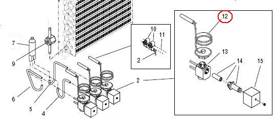 Thermostatic Element